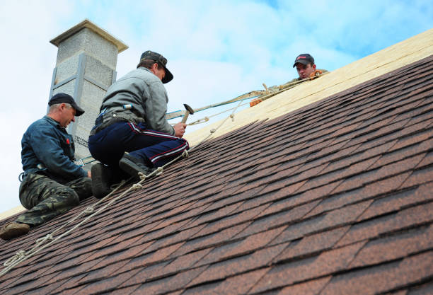 Best Storm Damage Roof Repair  in Bowling Green, FL